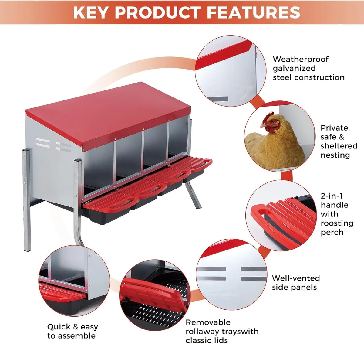 Twister.Ck Automatic Rollout Egg Collection Chicken Nesting Box