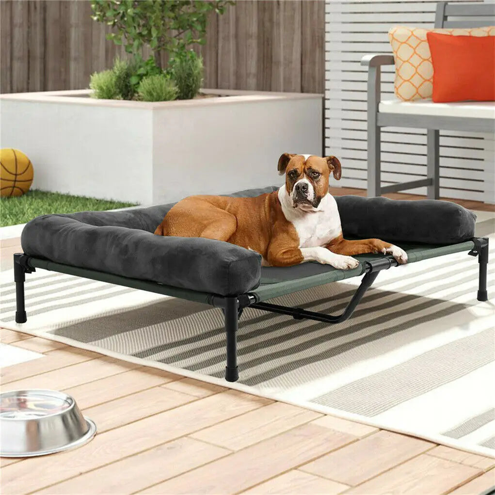 Bingopaw Breathable Mesh Elevated Dog Bed With Detachable Bolster