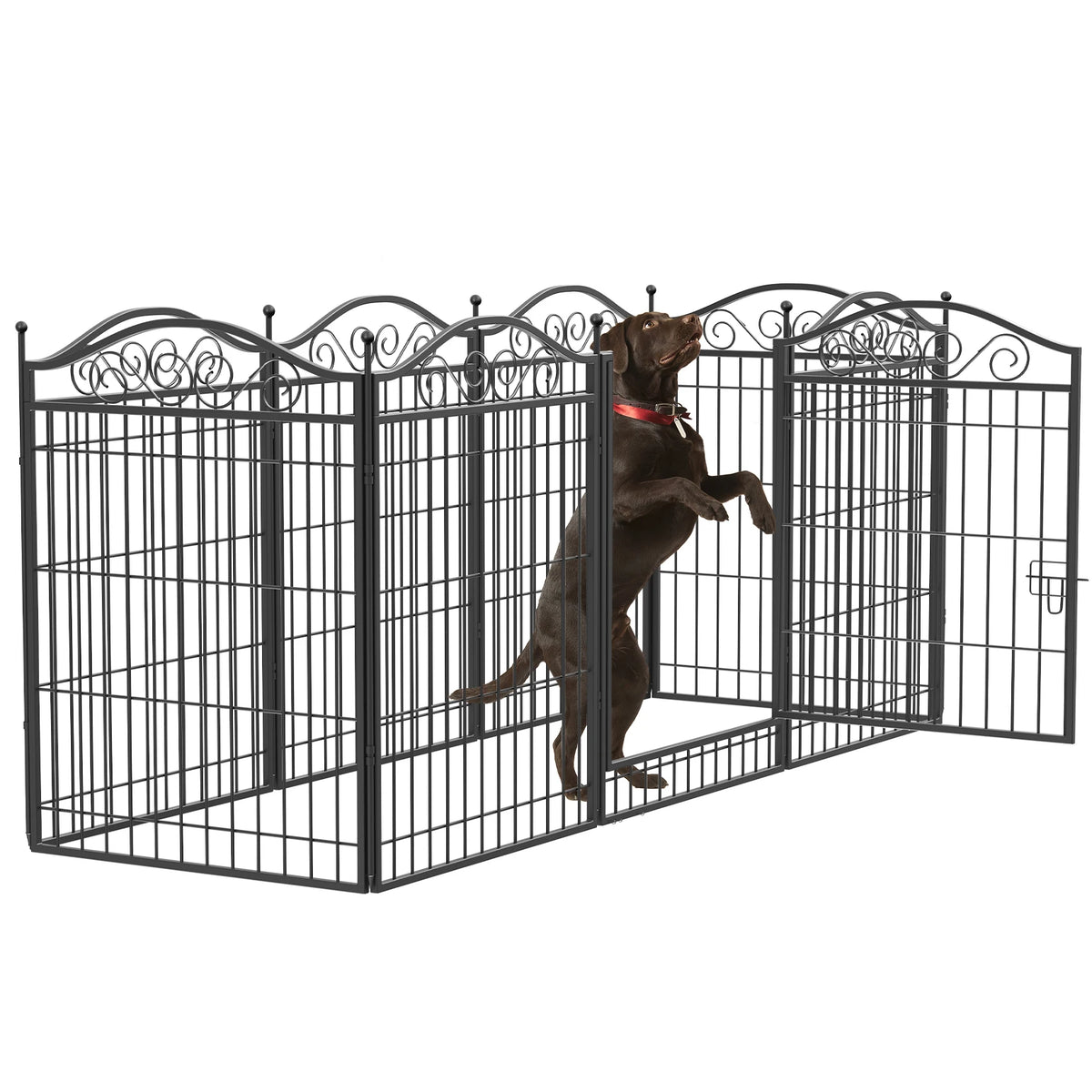 Bingopaw Heavy Duty Metal Dog Playpen Foldable Indoor Outdoor Kennel