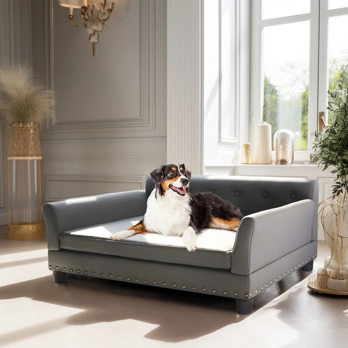 BINGOPAW Rectangular Elevated Dog Sofa Bed For Pets