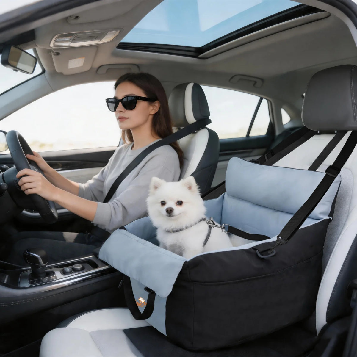 Bingopaw Dog Car Seat Pet Booster Seat With Safety Belt