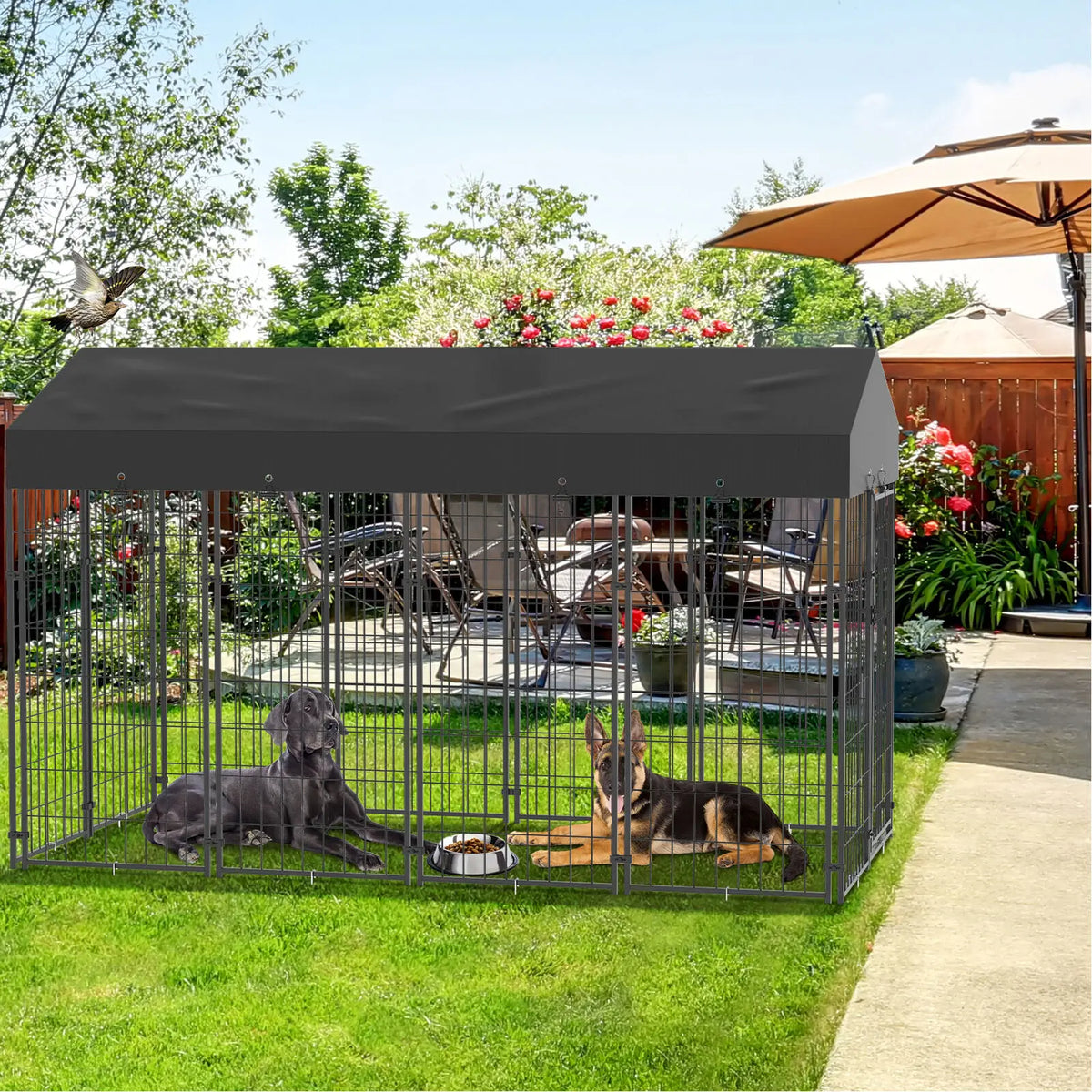 Durable Iron Dog Cage Outdoor Pet Run Enclosure With Roof