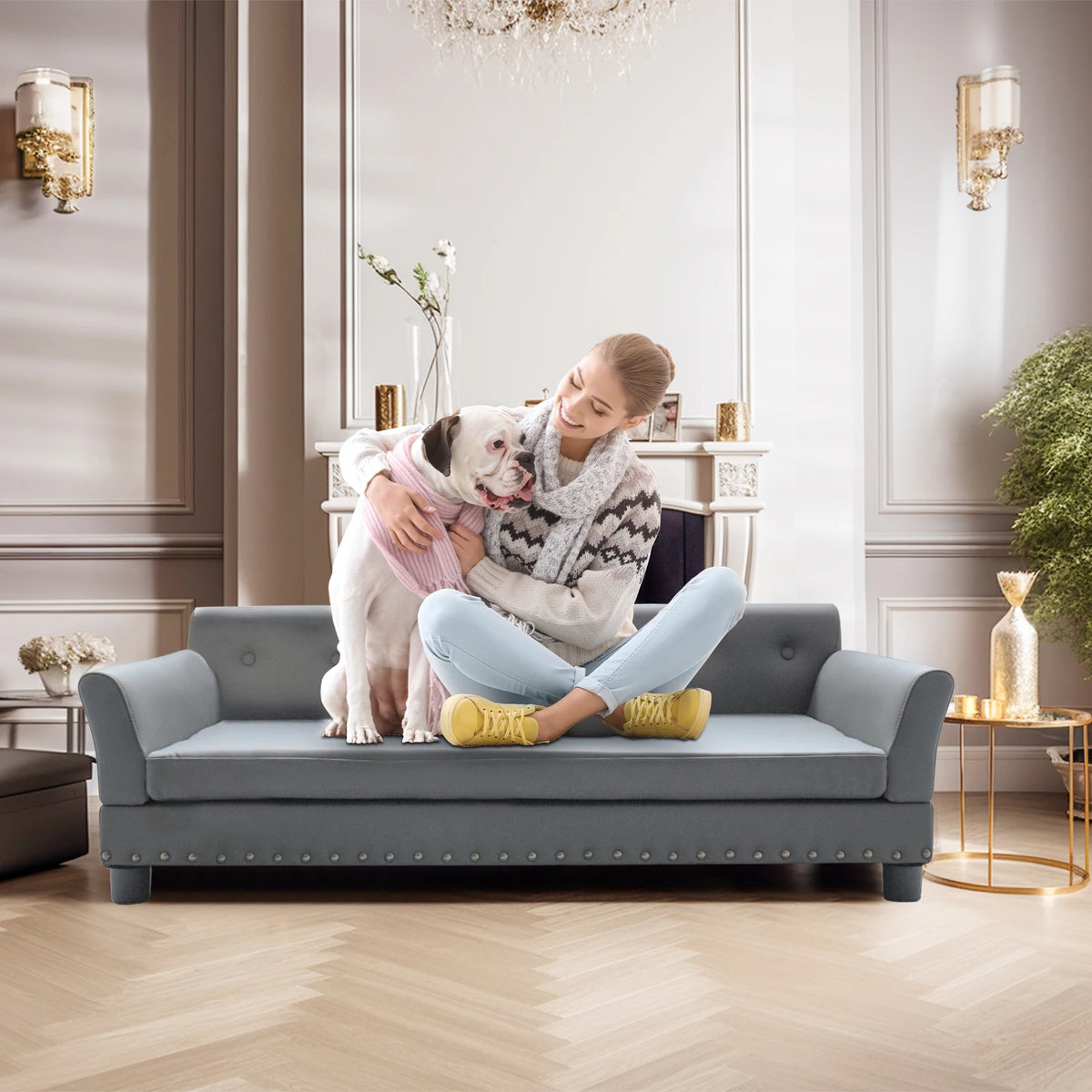 BINGOPAW Rectangular Elevated Dog Sofa Bed For Pets