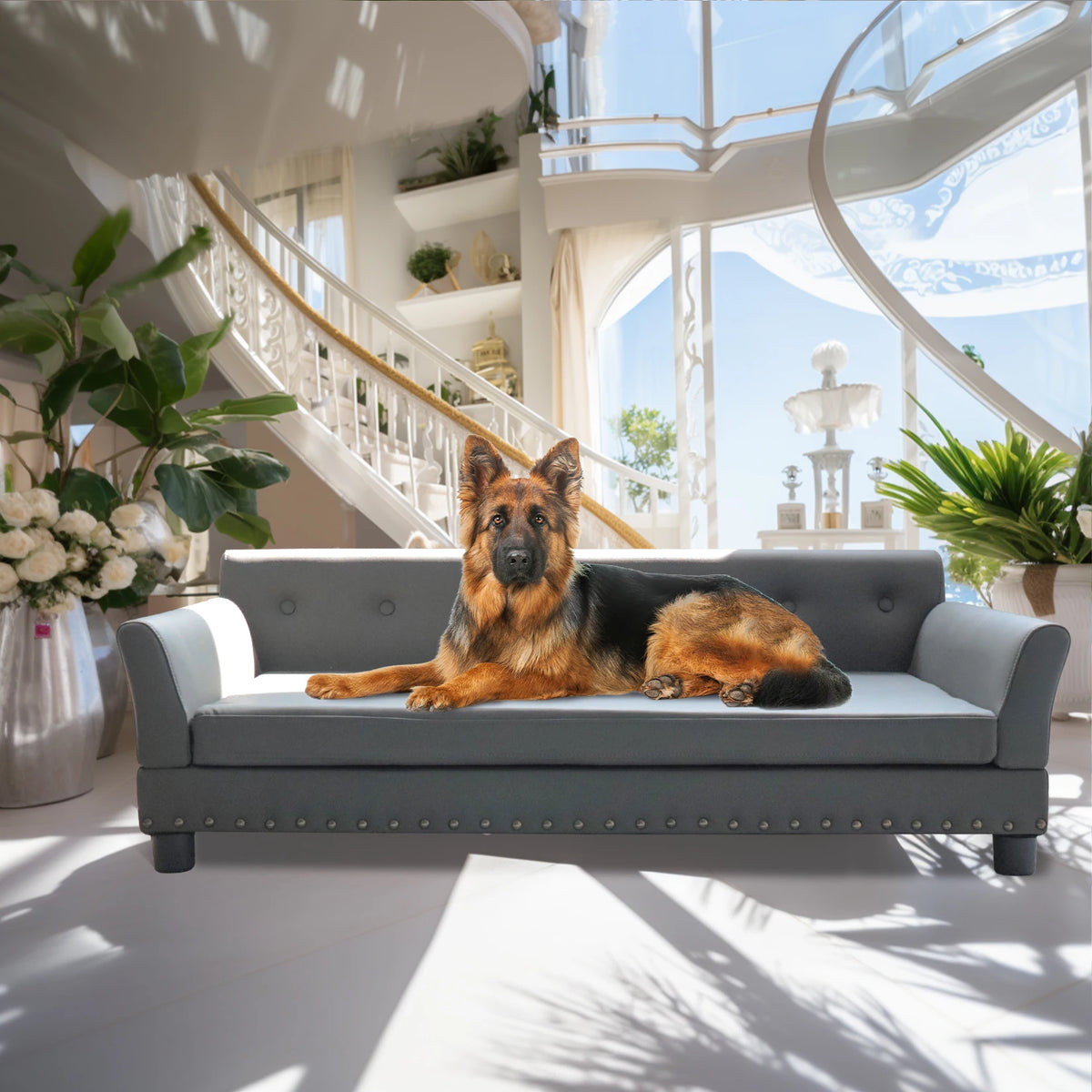 BINGOPAW Rectangular Elevated Dog Sofa Bed For Pets