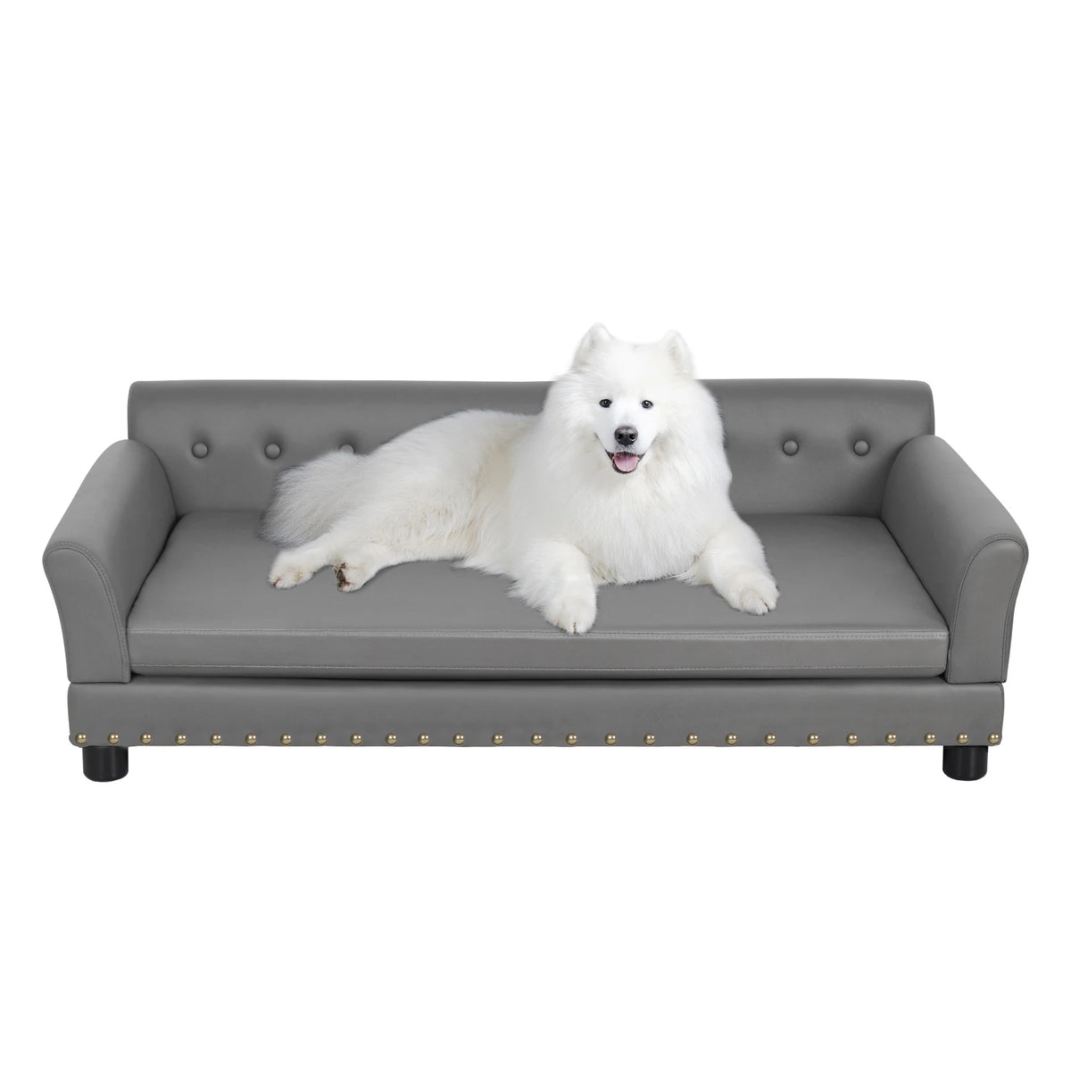 BINGOPAW Rectangular Elevated Dog Sofa Bed For Pets