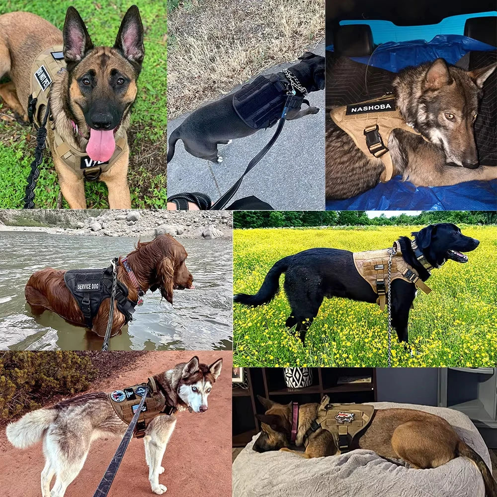 Tactical Dog Harness Collar Leash Training Vest Patches Set Nylon